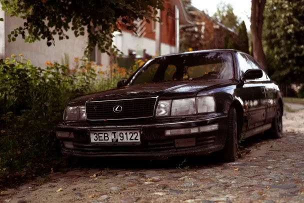 Casino Campo Bet Android/iOS App